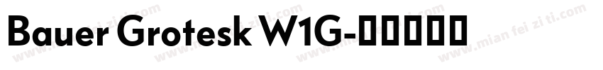 Bauer Grotesk W1G字体转换